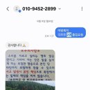 화들짝 | 말 좋아하는 아이 데려갔더니 완전히 빠져든 제주 동쪽 숨은 명소, 개오름 후기