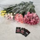 장미농장 | 내돈내산 부전장미농장에서 싱그러운 생화 미니 장미 택배 배송받은 후기