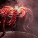 마포낙지한마리수제비 이미지