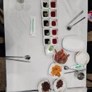 독도수산 | 울릉도 독도수산 독도새우 솔직 이용후기 한마리당 13,000원