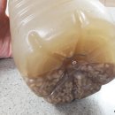 도계생선 이미지