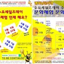 수요 문화 체험 네이버블로그