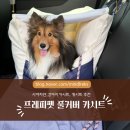 강아지 햇빛도 막아주는 프레피펫 풀커버 카시트 리얼후기
