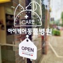 아이케어동물병원 | 스파니엘 피부 치료 주사, 복용약, 연고, 간식, 사료추천 대전 유성구 전민동 문지동 아이케어 동물병원