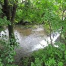 숲의머무룸 이미지