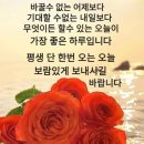 노을연가