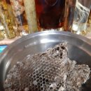 함양백연점현대자동차 | 四字成語 총정리 <ㄴ> 158 노방초혜~노부판관