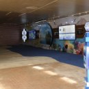 독도환경 이미지