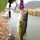 상동1교 이미지