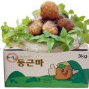 한미사 이미지