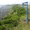 해비치목장 이미지