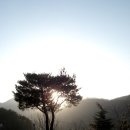 고운원 - 하동군 고운동길 23-8 | 고운원