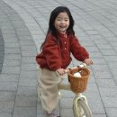 탄 | 삼천리 유아 자전거 밸런스바이크 2년 탄 후기