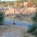 율포승강장 이미지