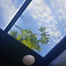 또또와 PC방 | ☘ 3 월 일 상 🍀-(1)