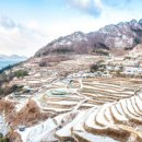 가천다랭이마을 이미지