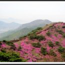 제 51차 "강화 고려산♡혈구산" 정기산행 (2017년4월9일) 이미지