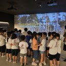 국가대표 한국체대 드림태권도장 | [성복동 태권도 성복초 한국체대 드림태권도] 과천 원더파크 체험학습 ^^