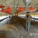 천수축산 아시아경제