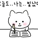 본주짓수평택안중 이미지