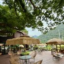 카페젤코바 이미지