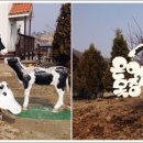 행복한목장 이미지