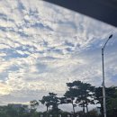 다같이_바리스타 2급 자격과정(오전) | [인천pt] 25년 생체 2급 보디빌딩 자격 취득 과정- 인천 대학교 연수편❤️