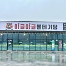 이글이글뽈테기탕