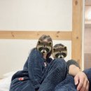 솟을집 한옥스테이 이미지