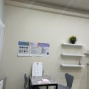 애견미용실 | 시흥 배곧 댕스클럽 애견미용실 내돈내산 후기｜포메라니언 구리 Before &amp; After