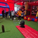 애니멀클럽 이미지