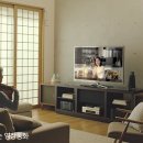 닥터지니 이미지