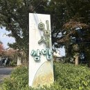 잎새 | 일산 동구 맛집 잎새 평일 특선 후기!