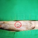 쓰담쓰담 동물병원 이미지