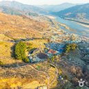 청매실농원 | [전라남도 광양시] 홍쌍리 청매실농원 - 전 견종 가능 · 맹견 입마개 · 목줄 착용 · 배변봉투 지참