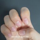 느보네일스튜디오 | 웨딩네일 '이때' 하는게 가장 좋아요! 웨딩네일 시기부터 왕십리 네일샵까지