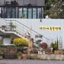 마리네 동물병원 이미지