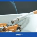 드림담배