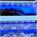 풍성한횟집 이미지