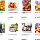 서울시 학생 식재료 바우처 : 농협몰 포인트 4만원 사용하기 (PC버전/모바일버전 사용 방법 안내)