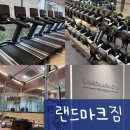 랜드마크짐 | [방배동 헬스장] 랜드마크짐 / 유튜버 조준 헬스장, PT 후기, 시설 좋음 + 디스크 팽륜 회복 후기