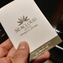 코오롱씨클라우드호텔수영장(실외) 이미지