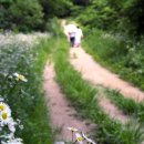 들길 따라서 이미지