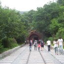 와인터널 이미지