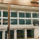 센텀애견샵 이미지