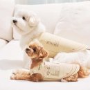 (주)피플펫 이미지