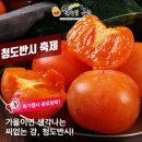 청도농산