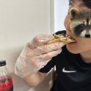 양산피자맛집 피자와썹 포장 후기🍕 반반피자, 고구마엣지 완벽 조합