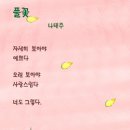 풀꽃 이미지