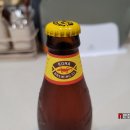 파이어락 티스토리